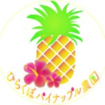 ひらくぼパイナップル農園は沖縄県石垣島で60年以上農業を営んでいる家族です。