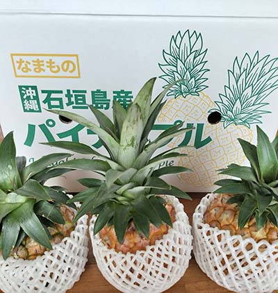 石垣島の農家が最高のパイナップルを直送🍍60年の結晶の味。高級百貨店