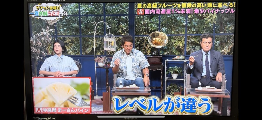 当園のまーさんパインがざわつく金曜日で「レベルが違う」とご紹介して頂きました。